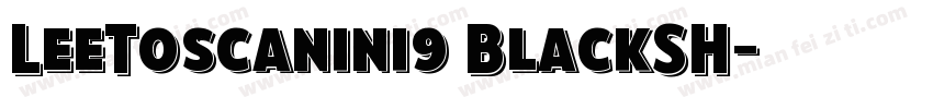 LeeToscanini9 BlackSH字体转换
